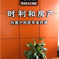 长沙时利和房产顾问有限公司